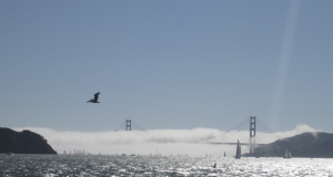Sausalito sailing charters
