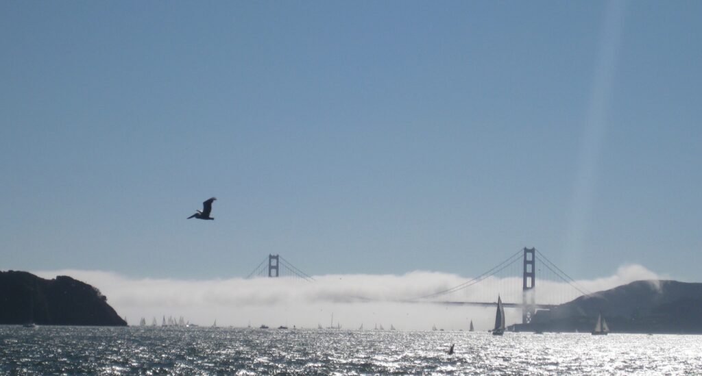 San Francisco bay sailing weather