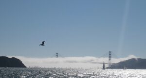 San Francisco bay sailing weather